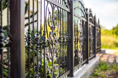 Ornamental Iron Fence