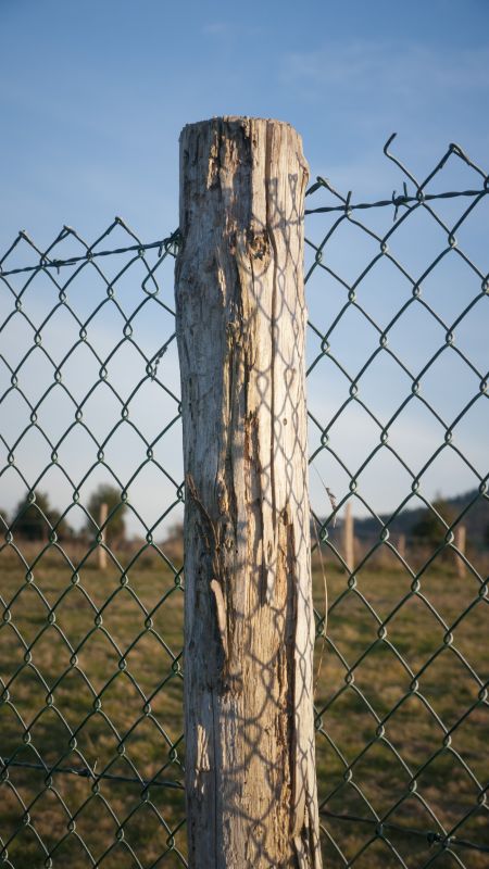 Damaged Fence Post