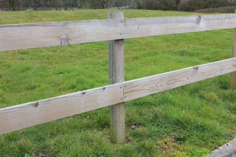 Repaired Fence Line